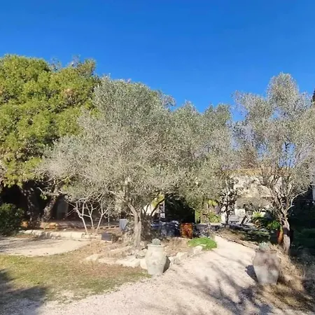 Vila Spacieuse Et Charmante A Saint-gilles Avec Piscine Privee *